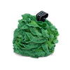 Botanic Green Lacy Loofah